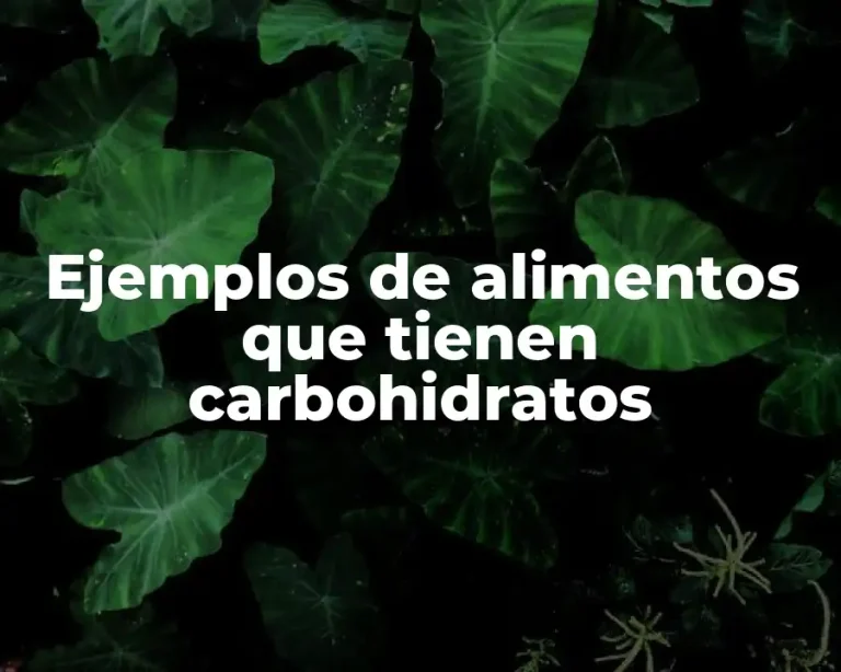 Ejemplos de alimentos que tienen carbohidratos