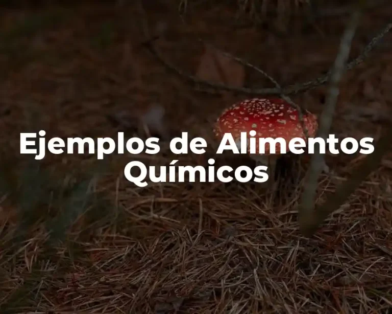 Ejemplos de Alimentos Químicos