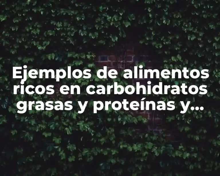 Ejemplos de alimentos ricos en carbohidratos grasas y proteínas y Significado