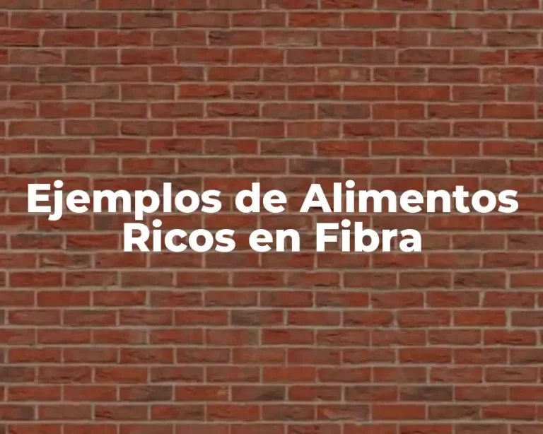 Ejemplos de Alimentos Ricos en Fibra
