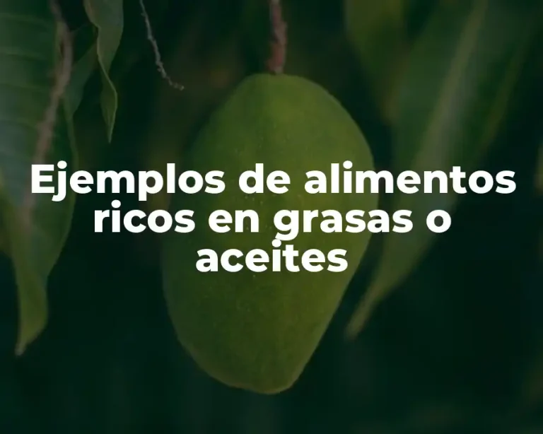 Ejemplos de alimentos ricos en grasas o aceites