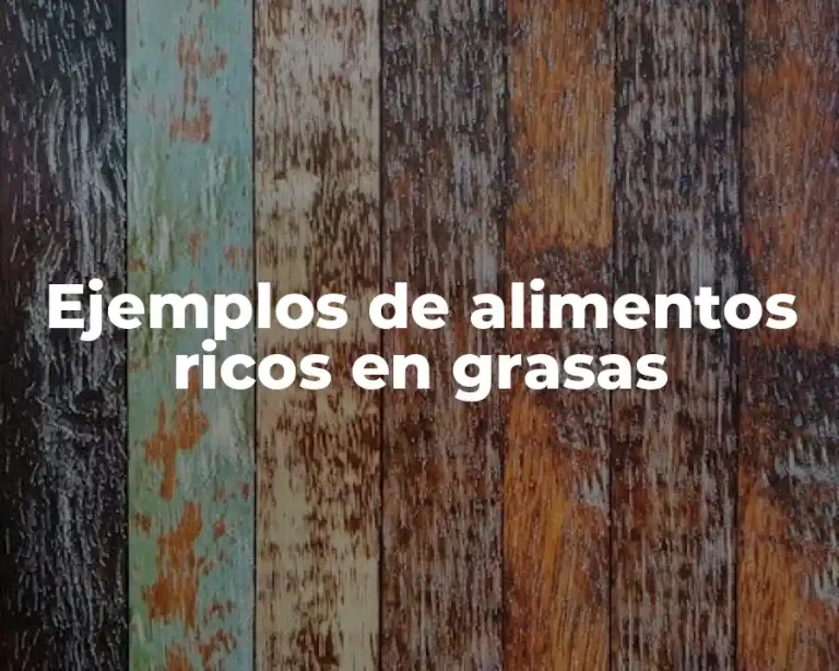 Ejemplos de alimentos ricos en grasas