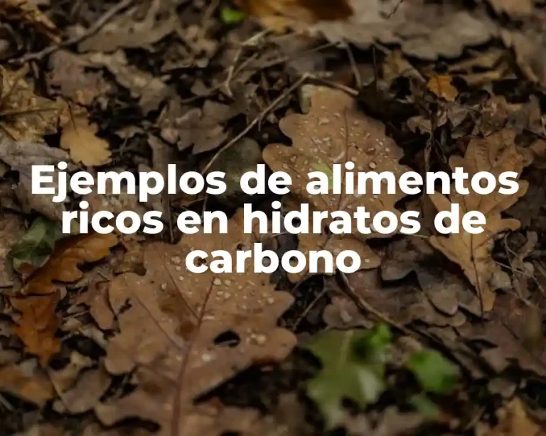 Ejemplos de alimentos ricos en hidratos de carbono