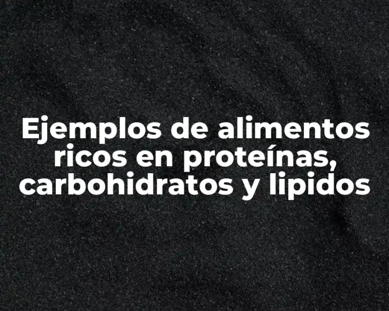Ejemplos de alimentos ricos en proteínas, carbohidratos y lipidos