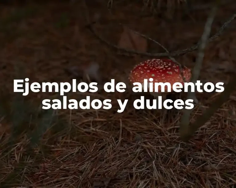 Ejemplos de alimentos salados y dulces