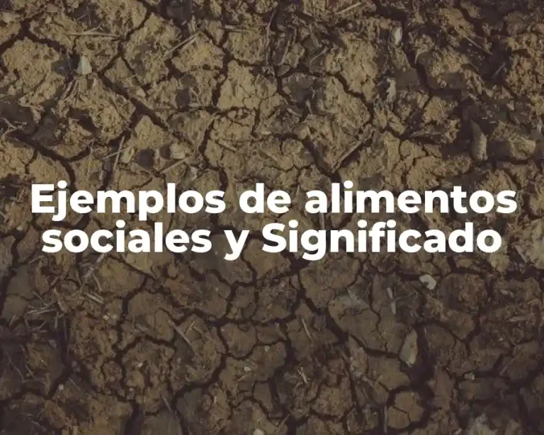 Ejemplos de alimentos sociales y Significado