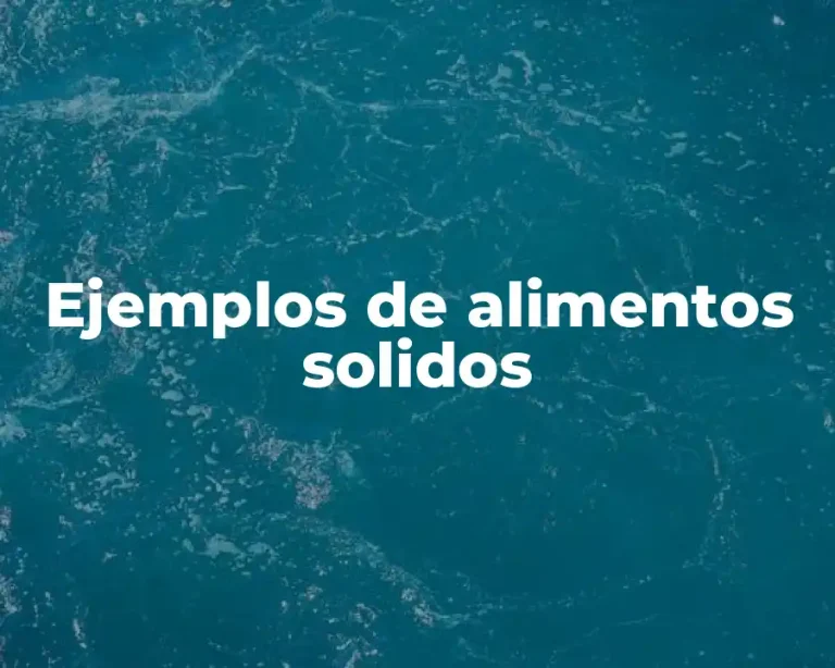 Ejemplos de alimentos solidos