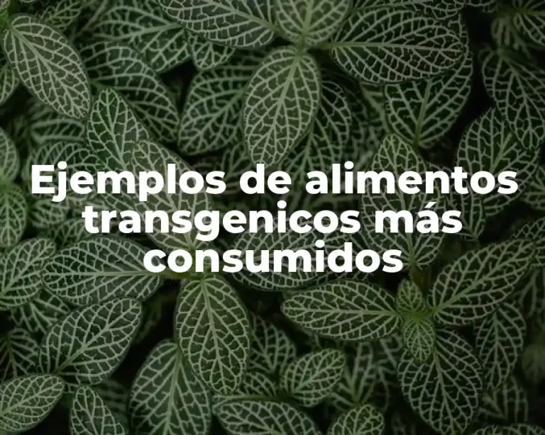 Ejemplos de alimentos transgenicos más consumidos