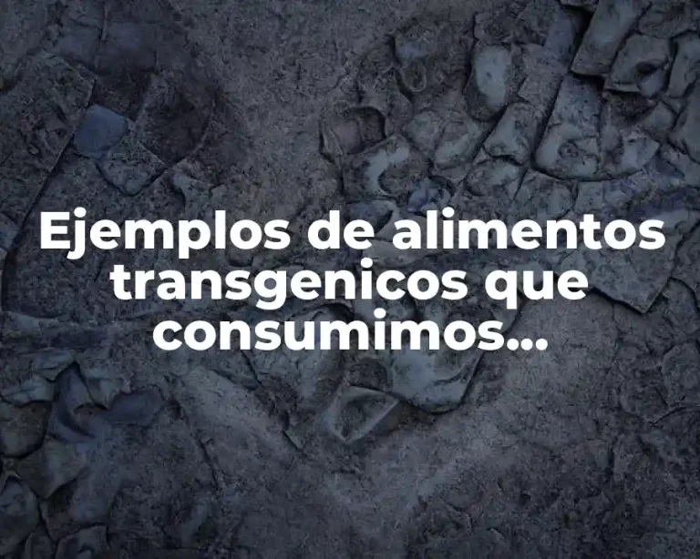 Ejemplos de alimentos transgenicos que consumimos actualmente y Significado