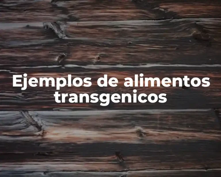 Ejemplos de alimentos transgenicos