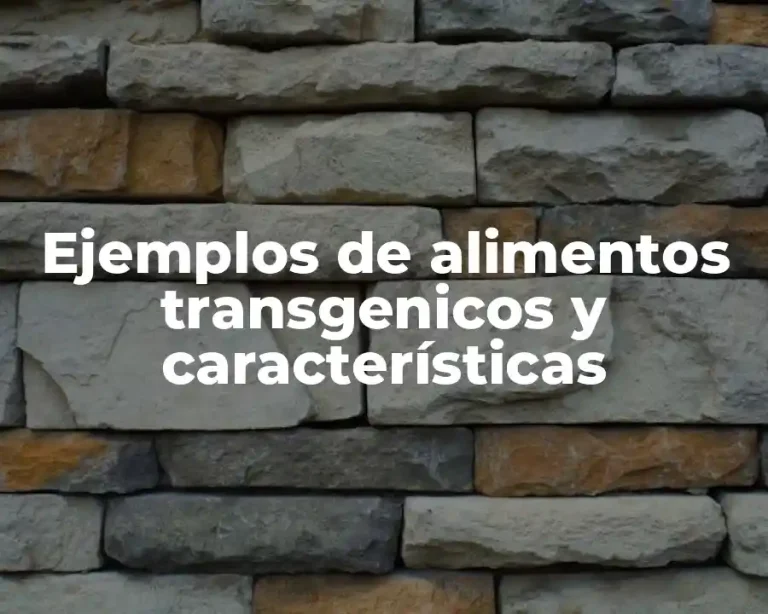 Ejemplos de alimentos transgenicos y características