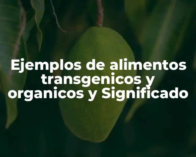 Ejemplos de alimentos transgenicos y organicos y Significado