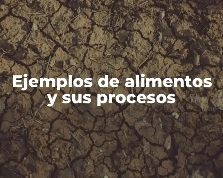 Ejemplos de alimentos y sus procesos