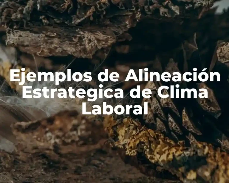 Ejemplos de Alineación Estrategica de Clima Laboral