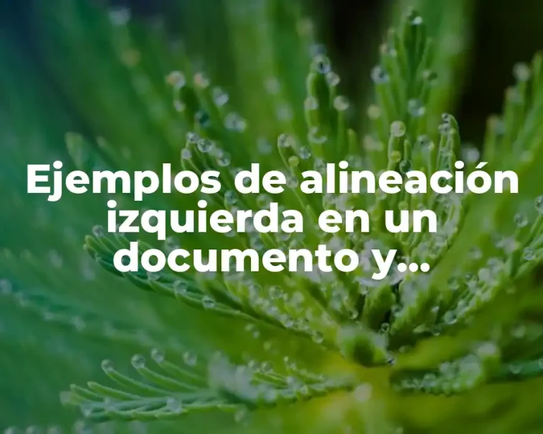 Ejemplos de alineación izquierda en un documento y Significado