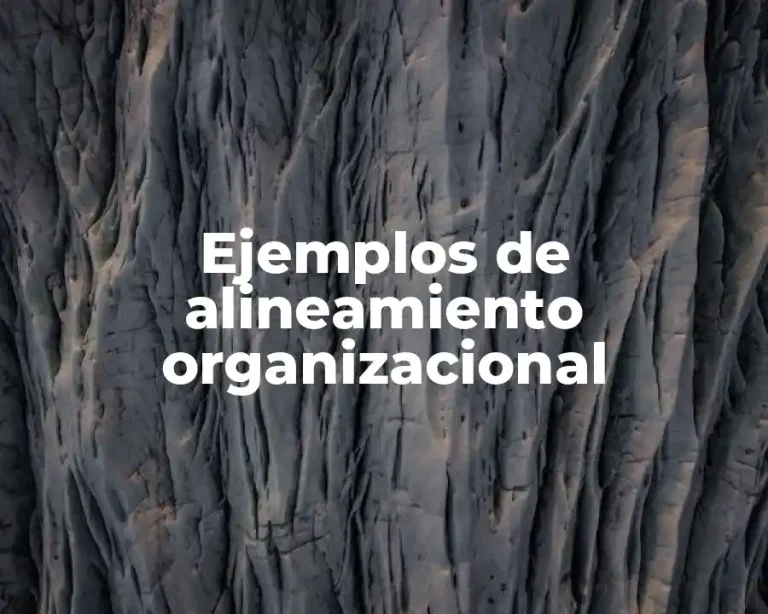 Ejemplos de alineamiento organizacional