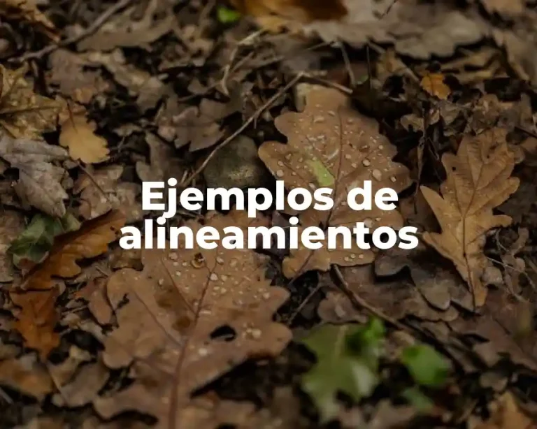 Ejemplos de alineamientos