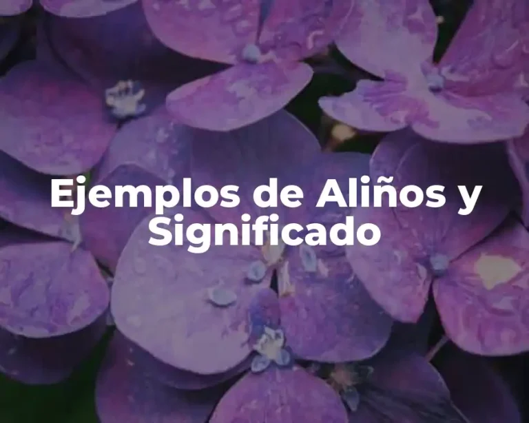 Ejemplos de Aliños y Significado