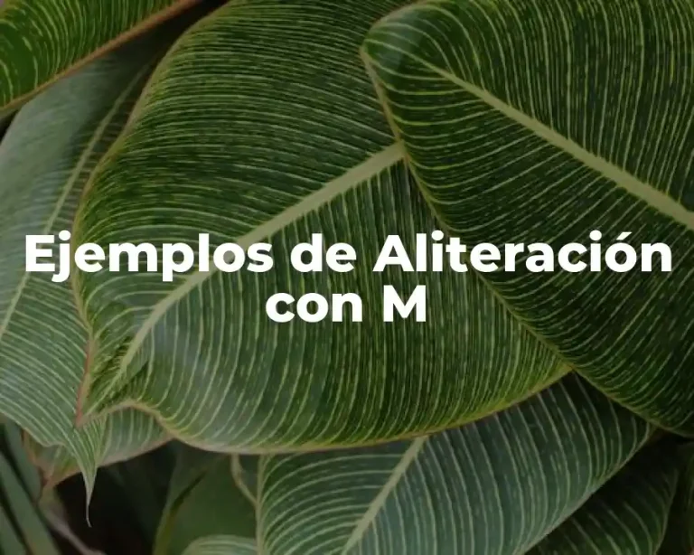 Ejemplos de Aliteración con M