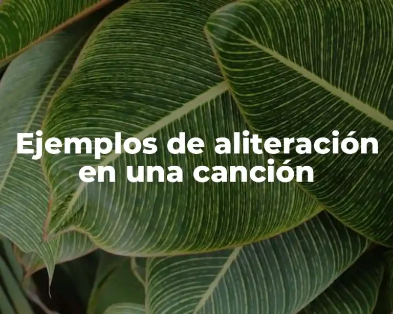 Ejemplos de aliteración en una canción