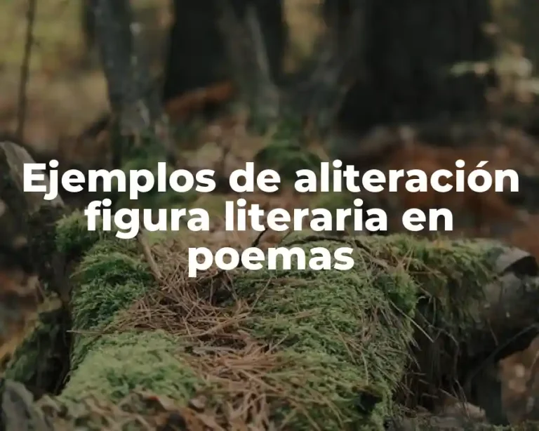 Ejemplos de aliteración figura literaria en poemas