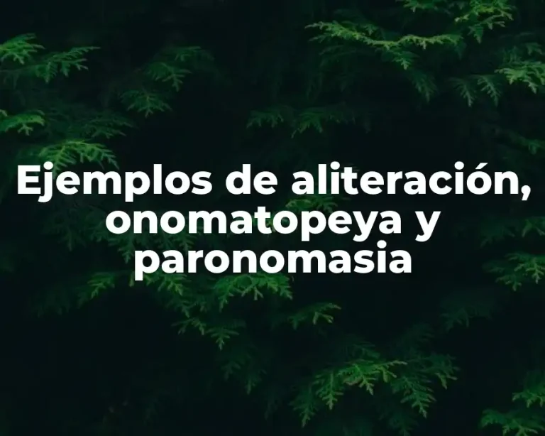 Ejemplos de aliteración, onomatopeya y paronomasia