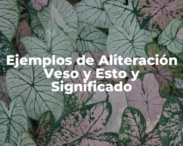Ejemplos de Aliteración Veso y Esto y Significado