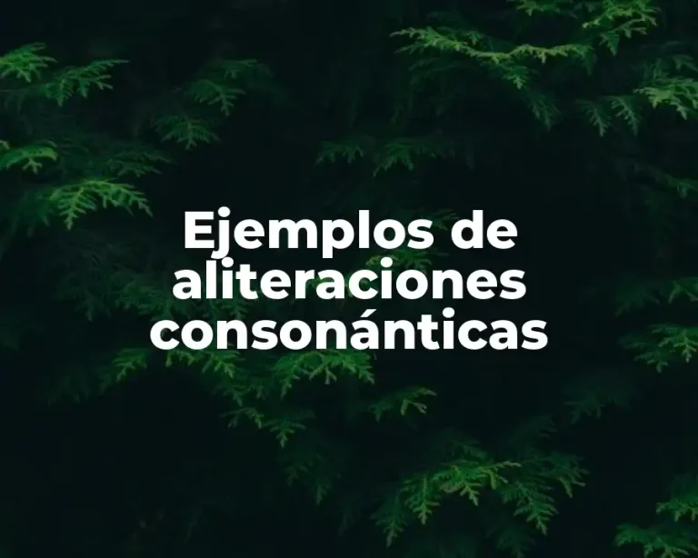 Ejemplos de aliteraciones consonánticas