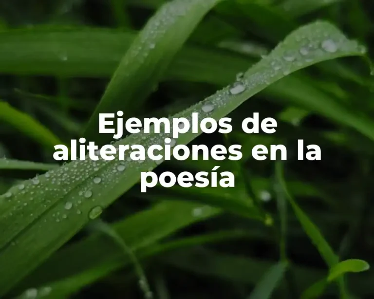 Ejemplos de aliteraciones en la poesía