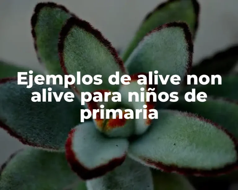 Ejemplos de alive non alive para niños de primaria