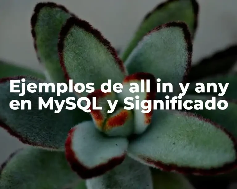 Ejemplos de all in y any en MySQL y Significado