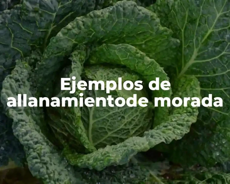 Ejemplos de allanamientode morada