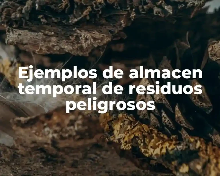 Ejemplos de almacen temporal de residuos peligrosos