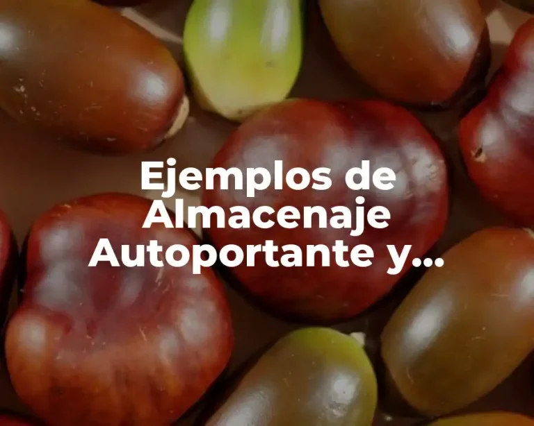 Ejemplos de Almacenaje Autoportante y Significado