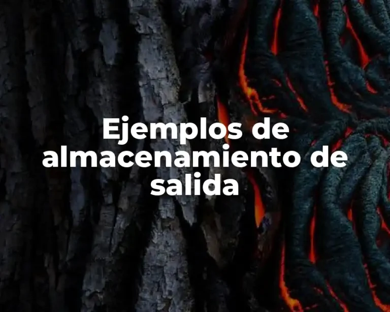Ejemplos de almacenamiento de salida