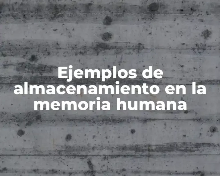 Ejemplos de almacenamiento en la memoria humana