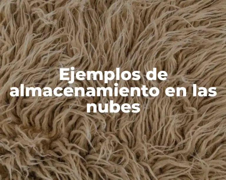 Ejemplos de almacenamiento en las nubes