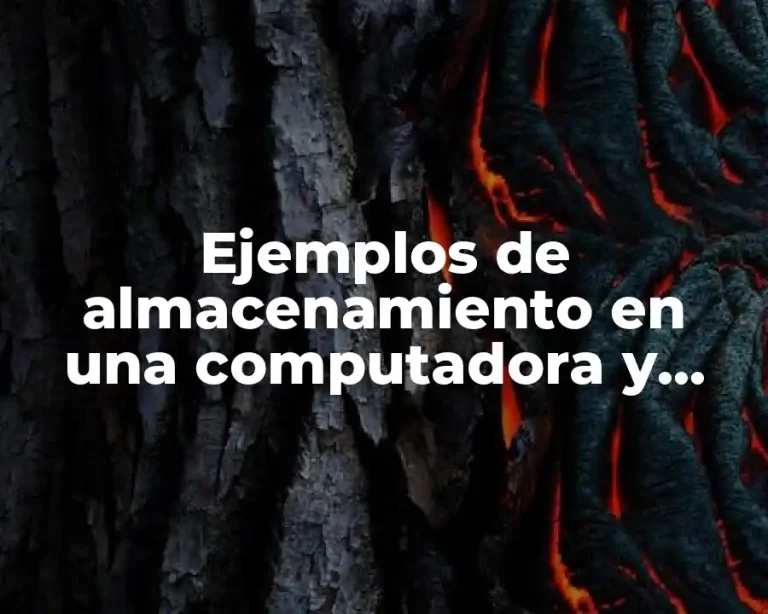 Ejemplos de almacenamiento en una computadora y Significado