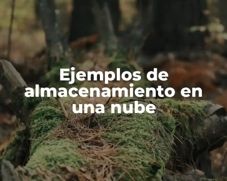 Ejemplos de almacenamiento en una nube