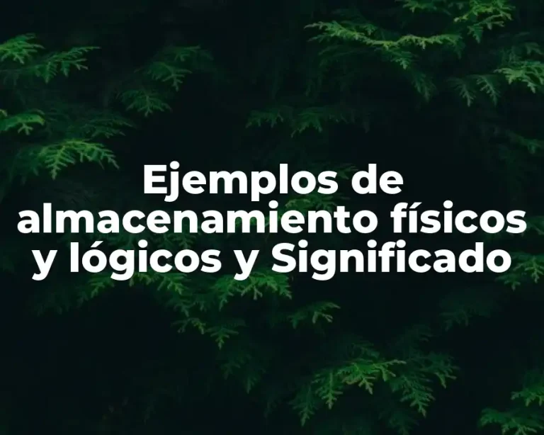 Ejemplos de almacenamiento físicos y lógicos y Significado