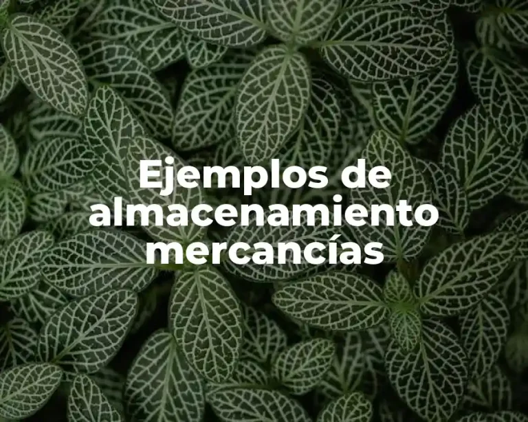 Ejemplos de almacenamiento mercancías