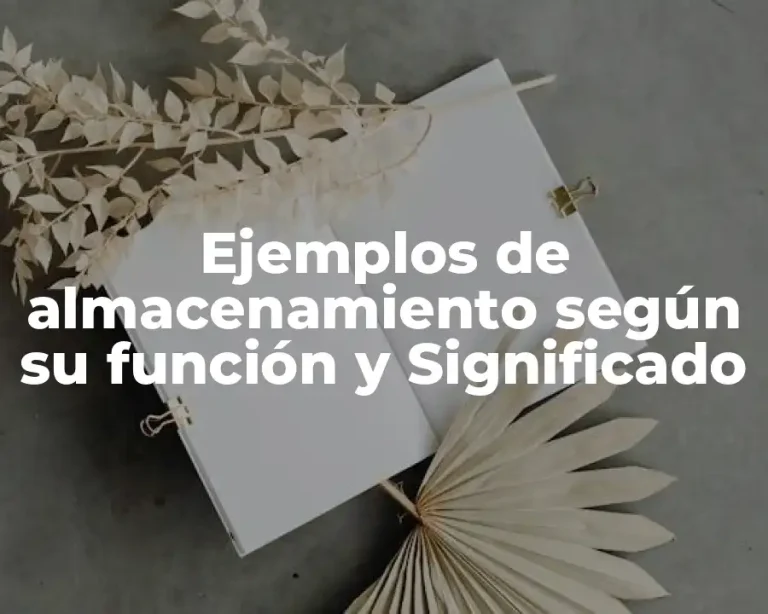 Ejemplos de almacenamiento según su función y Significado