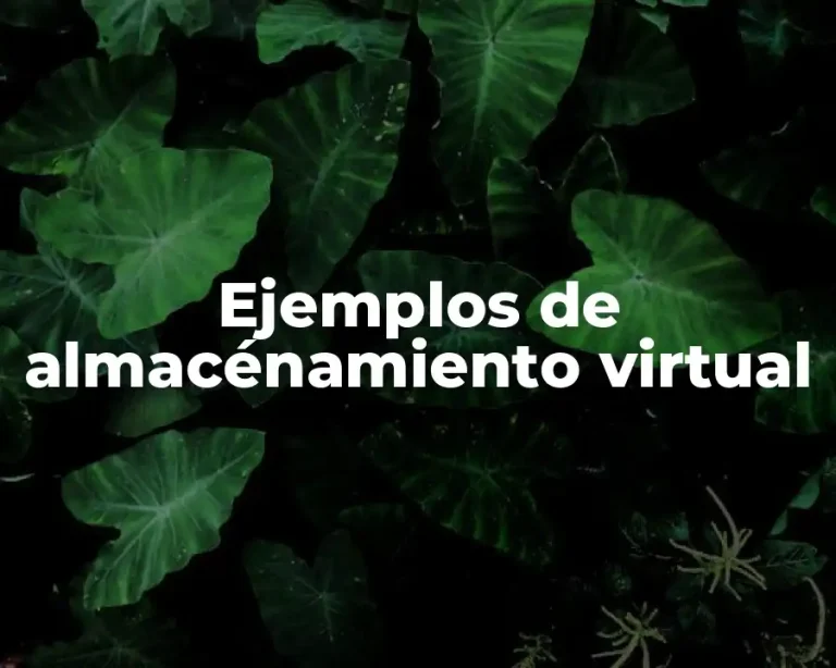 Ejemplos de almacénamiento virtual