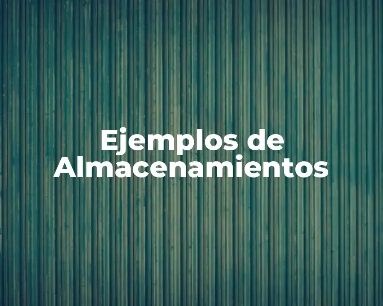 Ejemplos de Almacenamientos