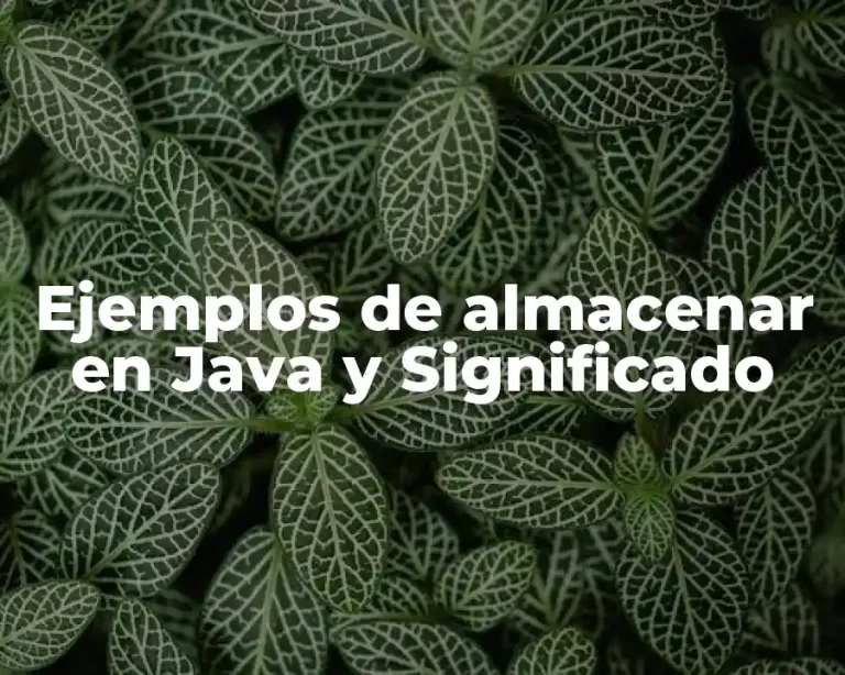 Ejemplos de almacenar en Java y Significado