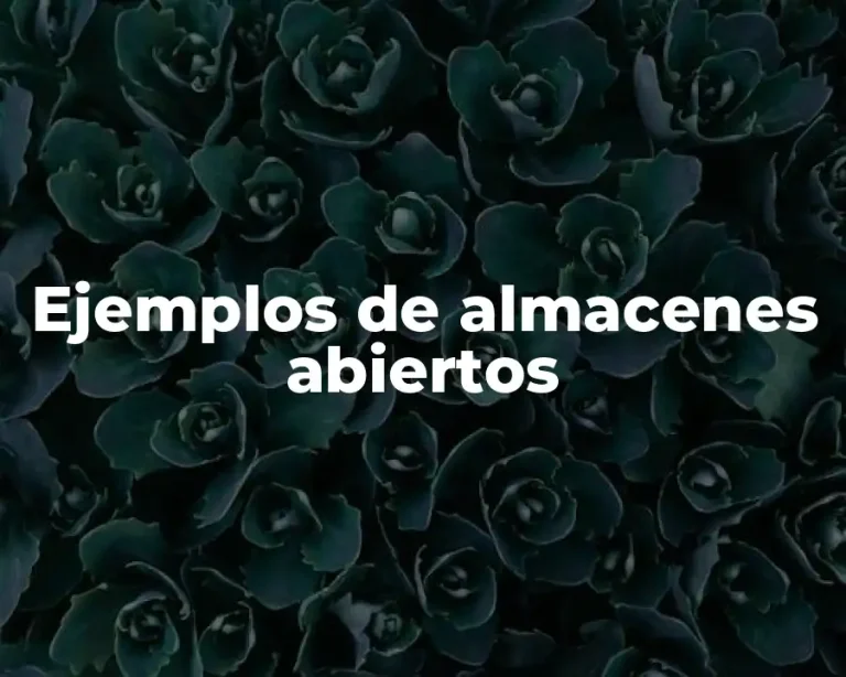 Ejemplos de almacenes abiertos