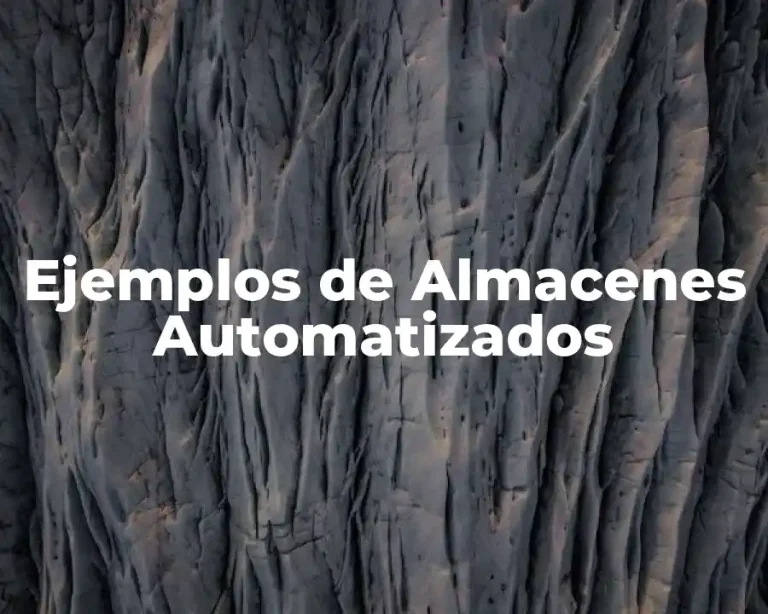 Ejemplos de Almacenes Automatizados
