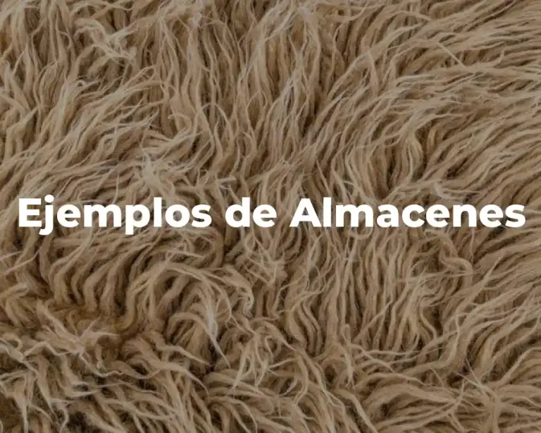 Ejemplos de Almacenes