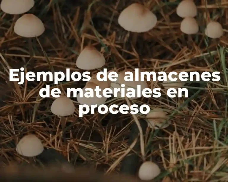 Ejemplos de almacenes de materiales en proceso