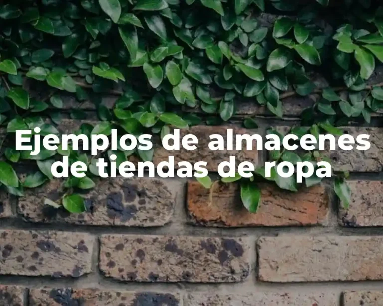 Ejemplos de almacenes de tiendas de ropa